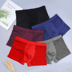 Monarch Wear - Set of 10 Bamboo Fibre Boxers [Pay for 5, Get 10]